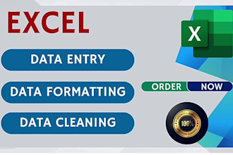 be your expert for excel data cleaning and formatting