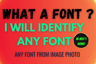 identify and find fonts in just 15 minutes speedy and precise
