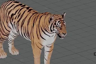 integrate 3d animal animation 3d animal model 3d animal rig vfx compositing cgi