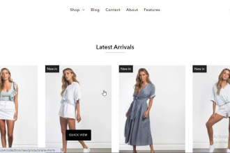 make fashion store and shopify clothing store