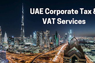 provide professional uae corporate tax and vat services