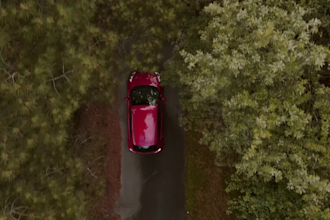 color correct and color grade, cinematically as pro colorist