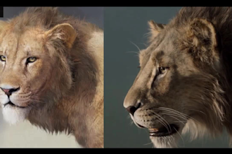 create realistic 3d animal animation, 3d texture with groom and fur