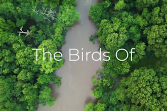 professionally edit your nature or animal videos