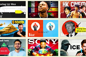 do professional documentary video editing specializes in vox style