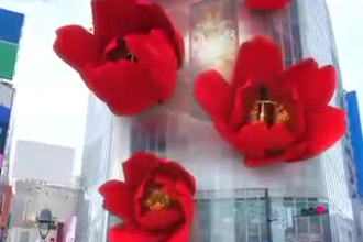 do 3d led screen cgi video editing, industrial video editing and vfx ads for you