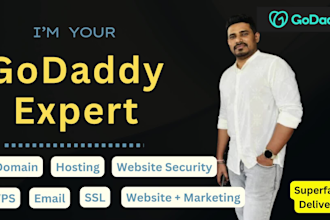 solve godaddy domain dns email hosting ssl vps issues