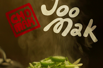 make you a promo video