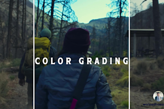 edit your tiktok and instagram videos, do color grading, and video compilation