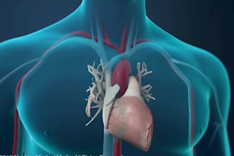 do 3d medical animation anatomy biotech scientific moa pharma 3d explainer video