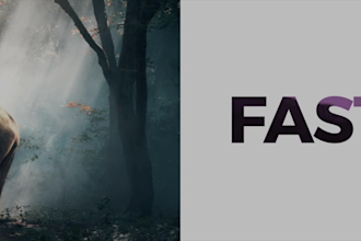 do anything in adobe after effects in 24 hours