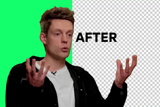 change, remove or rotoscope background of your any video