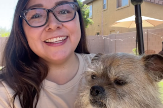 create dog ugc videos for your pet product or services
