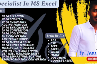 do excel data cleaning, typing, correction formatting convert pdf,word, CSV