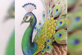 do colored pencil drawings of anything