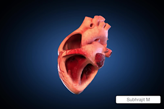 make high quality 3d medical animation video and modeling in cinema 4d, maya