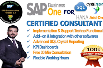 sap business one, sap b1 techno functional implementation and support consultant