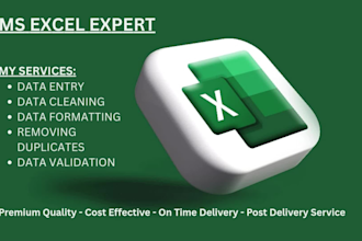 do ms excel data cleaning, formatting , merging , sorting