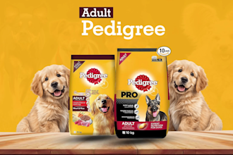 2d product short video ads for amazon listing facebook ads instagram reel tiktok