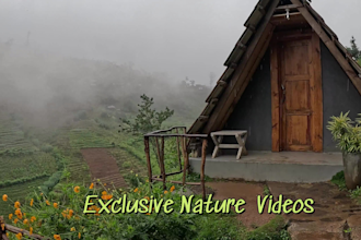 film exclusive original real nature 4k videos by myself