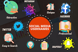 create a professional username and bio for social media