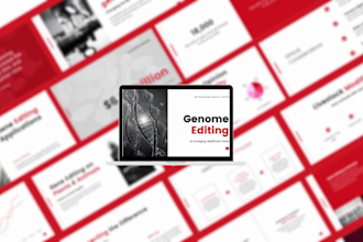 design professional powerpoint presentation and canva pitch deck