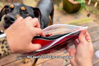 dog ugc video ads for your pet brand
