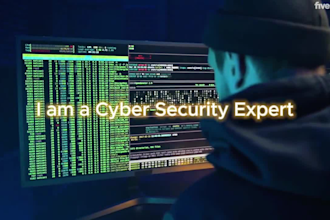 website penetration test with advance report