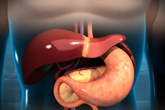 do 3d medical products and animations