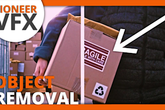 do professional vfx cleanups for video