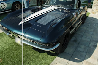 blur faces, license plates, or any object in video