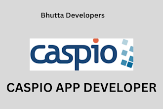 develop and caspio application, caspio flex application
