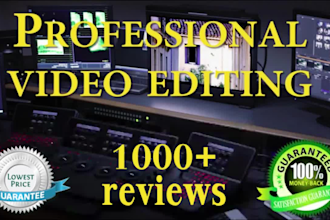 do professional video editing within 24 hours