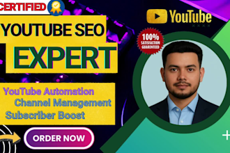 do youtube SEO urgent ranking in 24 hours with powerful optimization