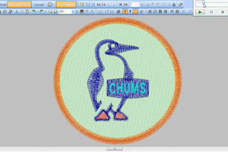 embroidery digitizing in few hours
