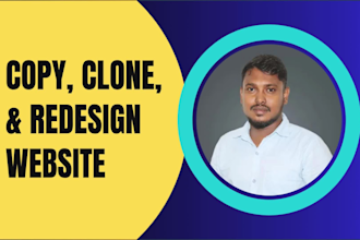 a duplicate copy clone any website or redesign wordpress website