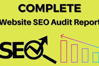 do website audit report and technical SEO with action plan