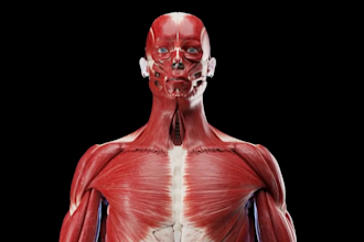 do high quality 3d anatomy animation for medical surgery biomedical explainer