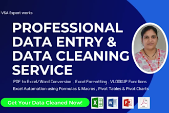 clean, format and organize your excel or CSV data