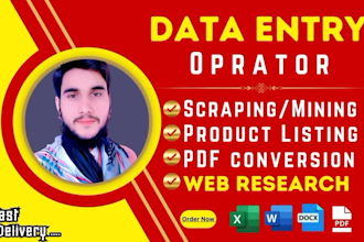do your data entry operator for copy paste, pdf conversation, excel data entry