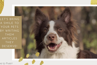 write SEO articles or blog posts on pets, dogs and animal care