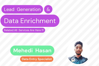 do data enrichment, prospect list building and lead generaion for you