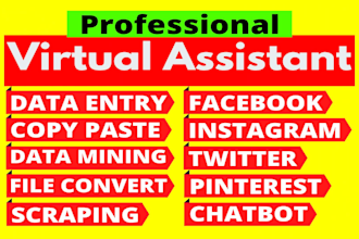 virtual assistant for wordpress data entry, product listing, articles, blog post