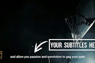 add professional, engaging and attractive subtitles or captions to your videos