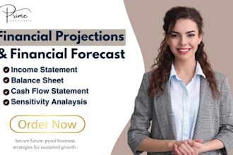prepare financial statements financial projections profit and loss cash flow