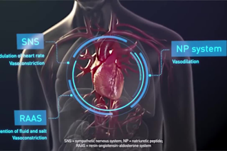 3d medical animation industrial video animation motion 3d explainer commercial