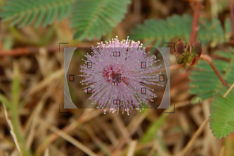 make camera focus photography logo intro