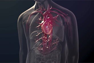 create 3d medical animation pharmaceutical moa cardiology heart failure video