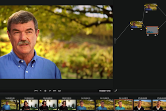 do cinematic video color grading and video color correction