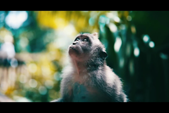do cinematic video editing with stock footage in 24 hours